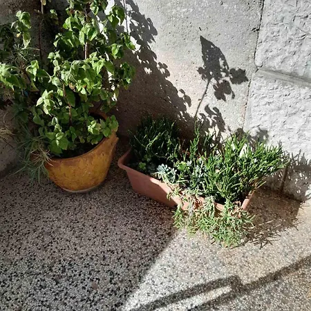 Apartment Zana Dubrovnik Exterior photo